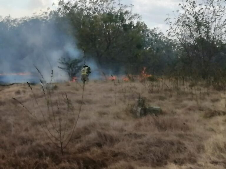 Incendios forestales en Valle Nuevo han disminuido
