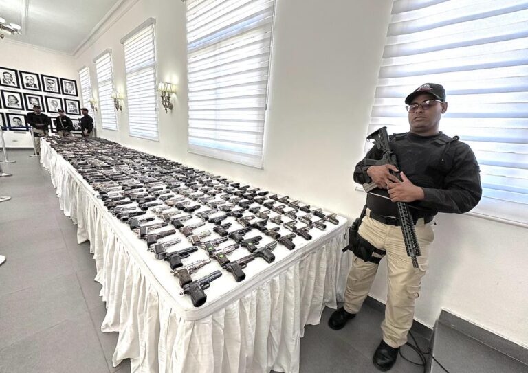 Interior y Policía y otras instituciones logran recuperar de las calles 11,291 armas de fuego