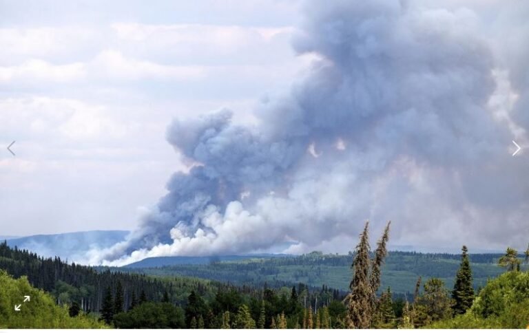 Los incendios forestales en Canadá han batido récords de área quemada, evacuaciones y costo, dice un funcionario