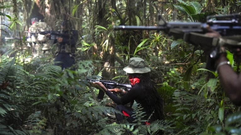 Alerta en Cauca por graves enfrentamientos entre guerrillas de Colombia