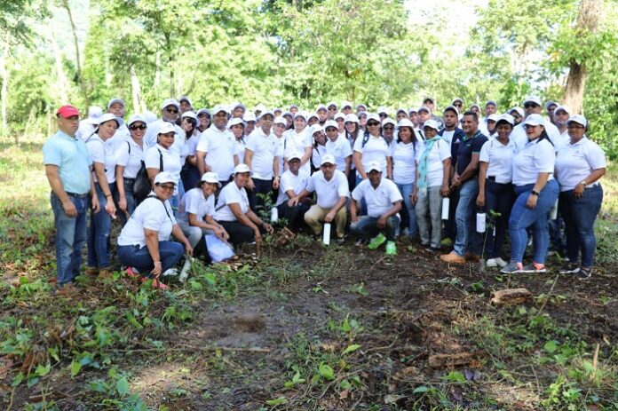 Participantes en jornada de reforestación CGR