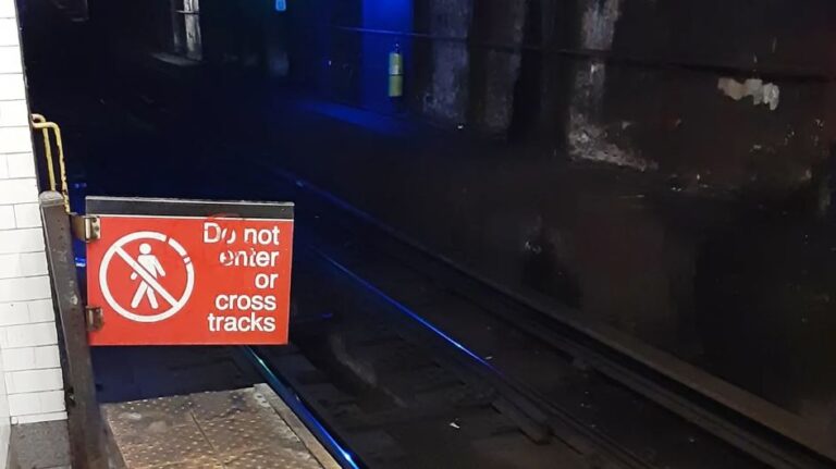 Adolescente latina murió arrollada al desmayarse en el Metro de Nueva York; actualizan edad de “niña” víctima