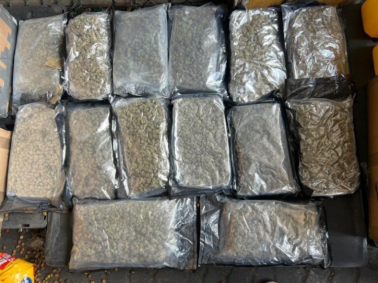 DNCD confisca 46 paquetes de marihuana en el Puerto de Haina