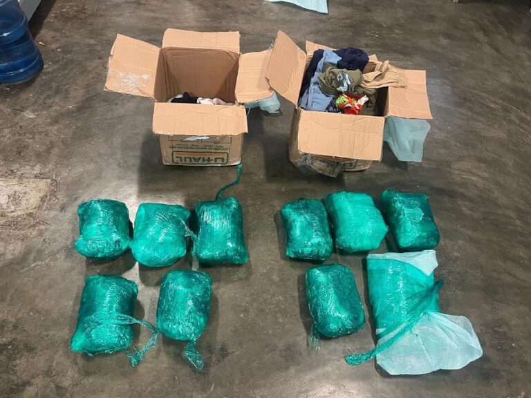 DNCD ocupa 10 paquetes de marihuana camuflados en prendas de vestir