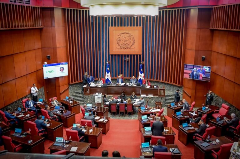 Senado aprueba en primera lectura proyecto de ley orgánica que crea DNI
