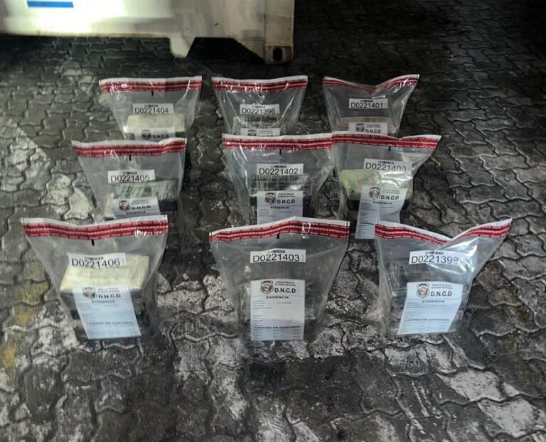DNCD incauta 43 paquetes presumiblemente cocaína en el Puerto Caucedo