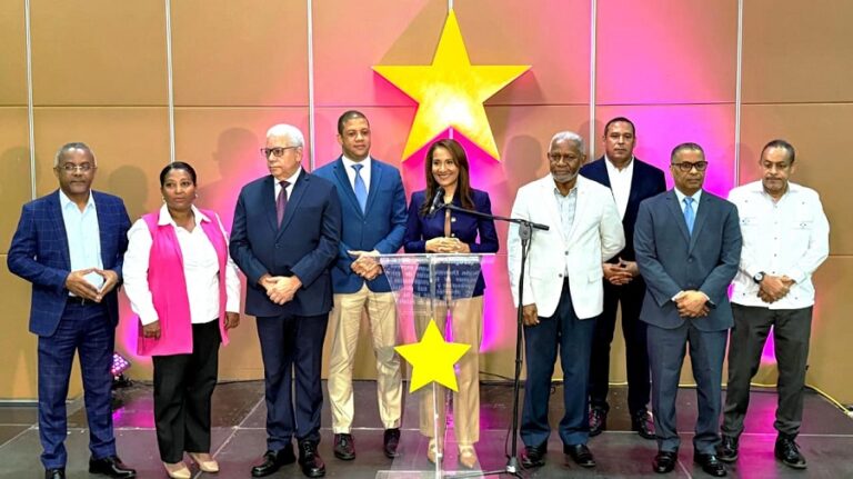 PLD denuncia desplome de la economía golpea a MiPymes; propone soluciones|Video