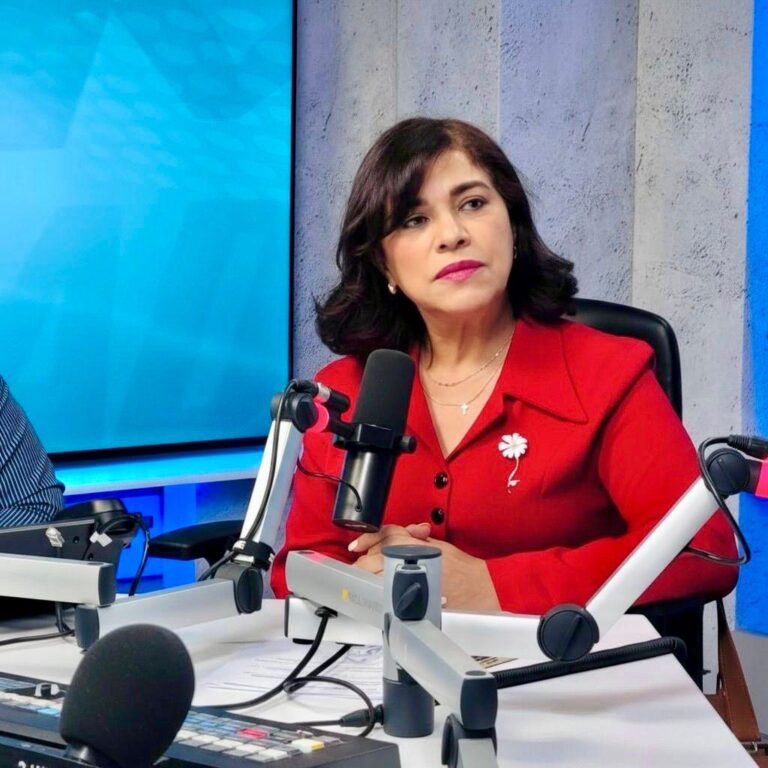 Fuerza del Pueblo: “Nuevo plan del MIP confirma el fracaso del Gobierno para construir una verdadera estrategia de seguridad”