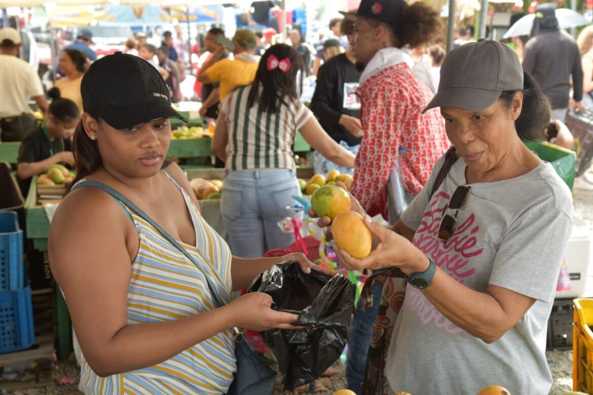 Expo Mango 2026 consolida su impacto en negocios, ventas, cultura y proyección internacional
